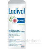 LADIVAL Akut Gezichtsserum 1×50 ml, gezichtsserum voor na het zonnen