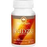 Pharma Activ Kudzu 1×60 cps, voedingssupplement