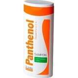 Dr. Müller PANTHENOL SHAMPOO For oily hair 1×250 ml, shampoo