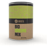 GYMBEAM VANAVITA BIO GREENS MIX 1×300g, groene superfoodmix