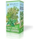 MEGAFYT Kruidenthee voor borstvoeding. 1×30 g (20×1,5 g), meidoornthee