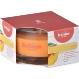 Bolsius Aromatic 2.0 Mango Geurkaars Fles 1×1 st, maat 80 x 50 mm