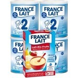 France Lait 2 4x400g + FL papilla de arroz con fruta 250g Lote 1×1, lote leche de fórmula infantil