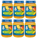 Gerber dessert set, tropical fruits with tapioca, after 6 months, 6 x 190 g