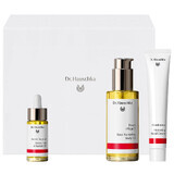 Dr Hauschka Beautiful body set, crema idratante per le mani 50 ml + olio per il corpo 75 ml + olio per le unghie 18 ml