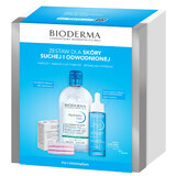 Set Bioderma Hydrabio, Hyalu+, Serum, 30 ml + H2O, Mizellenflüssigkeit, 500 ml + glov, Kosmetikpads, 3 Stück