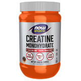 Now Sports Creatinemonohydraat, poeder, 600 g