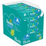 Pampers Fresh Clean Baby Toallitas Limpiadoras 15 x 80 pcs