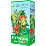 Megafyt Bronchiale Thee Mengsel theezakjes 20 x 1,5 g