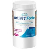 Vitar Veterinae Artivit Forte poedermix 600 g