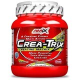 Amix Crea-Trix, Ponche de frutas: Crea-Trix, Ponche de frutas 824 g