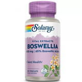 Boswellia 450 mg Solaray, 30 plantaardige capsules, Secom