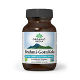 Brahmi Gotu Kola, 60 gélules, Inde biologique