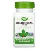 Goldenseal Rott, 30 capsules, Natures Way