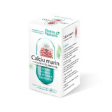Zeecalcium + natuurlijke vitamine D2, 30 capsules, Rotta Natura