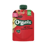 Appel, aardbei en quinoa snack, 100 gr, Organix
