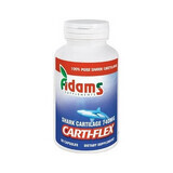 Carti-Flex 740mg, 90 capsules, Adams Vision