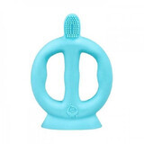 Brosse à dents Aqua en silicone, 9-18 mois, Green Sprouts