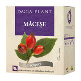 Paardenbloem thee, 50 g, Dacia Plant