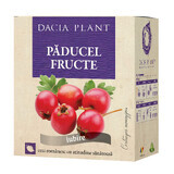 Tisane de fruits d'aubépine, 50g, Dacia Plant