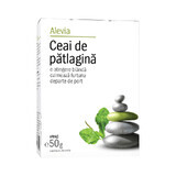 Patlagine thee, 50 g, Alevia