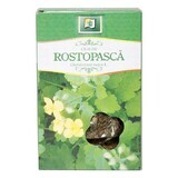 Ceai de rostopasca, 50 g, Stef Mar