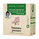 Kruidenthee Prostaat gezondheid, 50 g, Dacia Plant