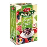 Tè Fructele Carpatilor Aromafrutt, 75 g, Fares