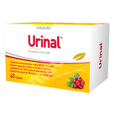Idelyn Urinaal, 60 capsules, Walmark