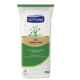 Laine de coton, Eco Life, 100 gr, Septona
