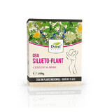 Thé Silueto-plant, 150 g, Dorel Plant