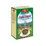 Talpa Kattenkruid Thee, C42, 50 g, Fares