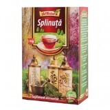 Splinuta thee, 50 g, AdNatura