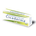 Cicaderma, 30 g, Boiron