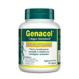 Genacol Plus Glucozamine, 90 capsules, Darmaplant