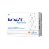 Natalvit Profolic, 60 comprimés, Hyllan