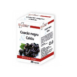 Zwarte bes &amp; calcium, 30 capsules, FarmaClass