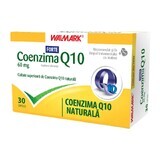 Co-enzym Q10 Forte 60mg, 30 tabletten, Walmark