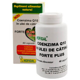 Co-enzym Q10 in Duindoornolie Forte Plus 60mg, 40 capsules, Hofigal