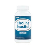 Choline 250 mg en Inositol 250 mg (012767), 100 tabletten, GNC