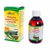 Sciroppo di gemme di pino con piantaggine e propoli, 200 ml, Elidor