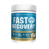 Pina Colada Fast Recovery proteïneshake, 600 gr, Gold Nutrition