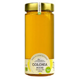 Biologische rauwe salcam honing, 800 g, Keulen