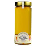 Ruwe polyflora honing, 800 g, Keulen