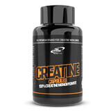 Creatine, 150 capsule, Pro Nutrition