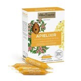 Apielixir immunité et bien-être, 10 ampoules x 10 ml, Albina Carpatina