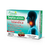 Naturalis Septocalmin Islandica x 24 pillen