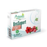 Naturalis UroSuport Forte x 14 capsules.