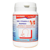 Zink, vitamine C en magnesium, 40 capsules, Favisan