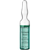 Fiola Collageen Boost, 3 ml, Dr. Grandel